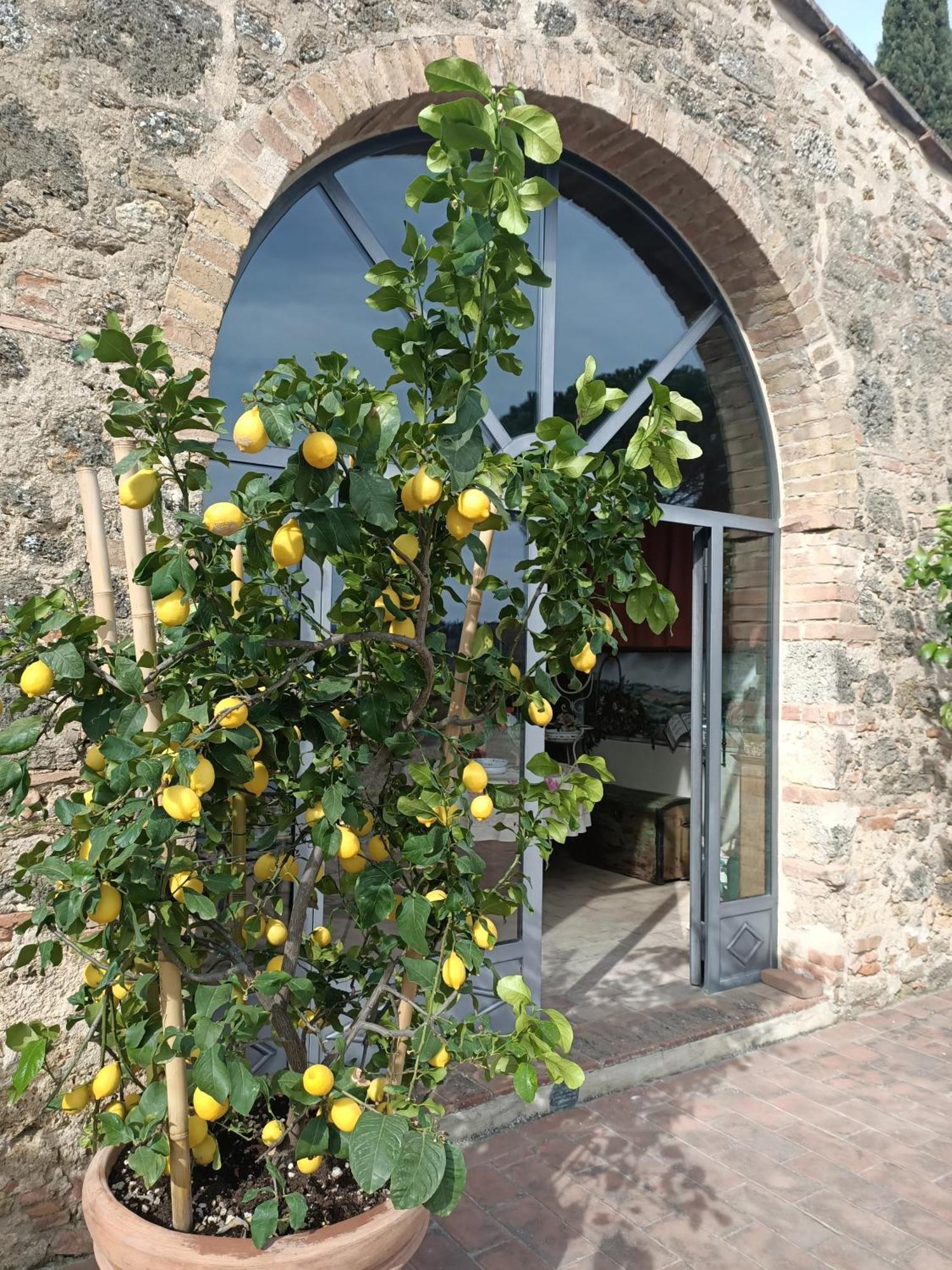 Relais Antico Borgo San Lorenzo Poggibonsi Extérieur photo